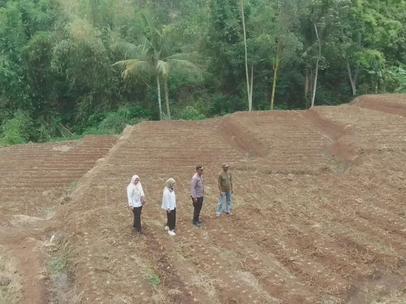 Polres Garut Sulap Lahan Tidak Produktif Jadi Kebun Jagung 1 Hektare, Dukung Ketahanan Pangan