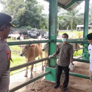 Polres Pasaman Barat Ajak Masyarakat Tingkatkan Kewaspadaan Pencurian Hewan Ternak Jelang Iduladha 1447 H