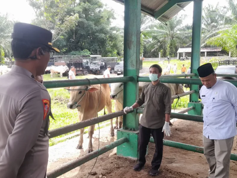 Polres Pasaman Barat Ajak Masyarakat Tingkatkan Kewaspadaan Pencurian Hewan Ternak Jelang Iduladha 1447 H