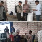 Polsek Banjarwangi Dukung Ketahanan Pangan Nasional, 2,5 Ton Jagung Hasil Panen Raya Diserap Bulog Garut