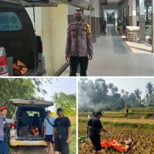 Polri Gerak Cepat Tangani Penemuan Mayat Tanpa Identitas di Area Persawahan Malangbong