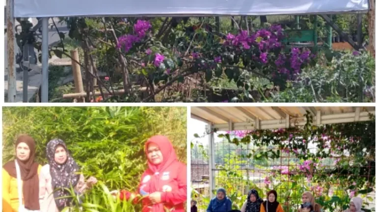 Stop Ketergantungan Pupuk! Kelompok Tani Harum Madu Garut Genjot Pembenihan Hanjeli
