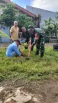 Koramil 1408-12/Tamalanrea Tanam Pohon: Langkah Nyata Cegah Banjir & Hijaukan Lingkungan