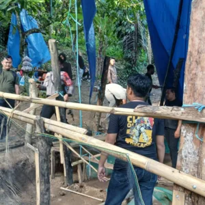 Satreskrim Polres Polman Bersama Kodim 1402 Gerebek Arena Sabung Ayam di Duampanua, Tujuh Orang Terjaring dan Puluhan Ayam diamankan