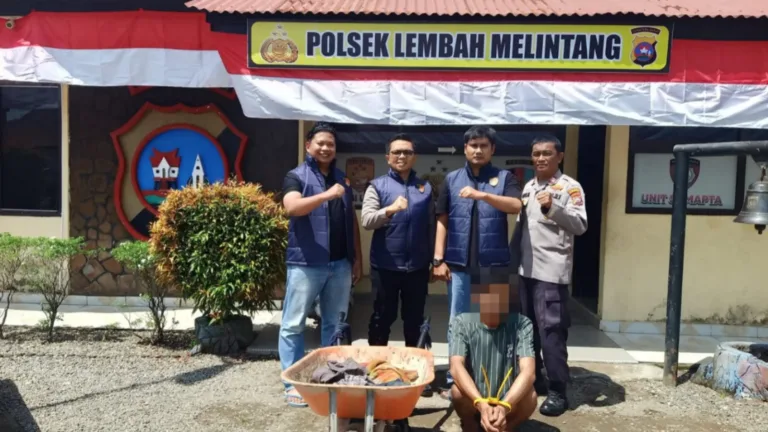 Tim URC Polsek Lembah Melintang, Resor Pasaman Barat Tangkap Pelaku Curat Dalam Operasi Sikat Singgalang 2026