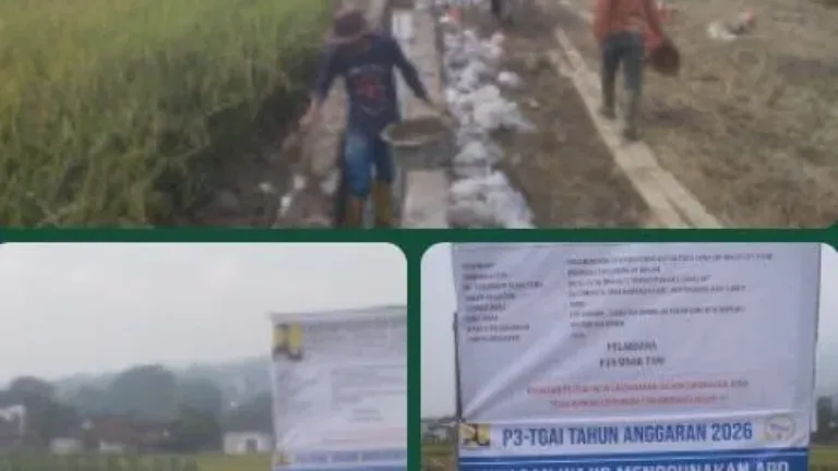 Pelaksanaan Program P3-TGAI Tingkatkan Kualitas Jaringn Irigasi di Desa Karyajaya