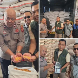 Polri Hadir untuk Petani, Polsek Limbangan Kawal Penyerapan Jagung ke Bulog Garut
