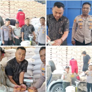 Dukung Ketahanan Pangan Nasional, Total Penyerapan Jagung di Banjarwangi Tembus 10,5 Ton