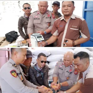 Penyerapan Jagung Garut Capai 3 Ton, Polsek BL Limbangan Dukung Ketahanan Pangan Nasional