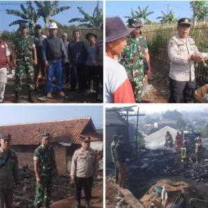 Korsleting Diduga Picu Kebakaran Kandang Ayam di Samarang, Kerugian Capai Jutaan
