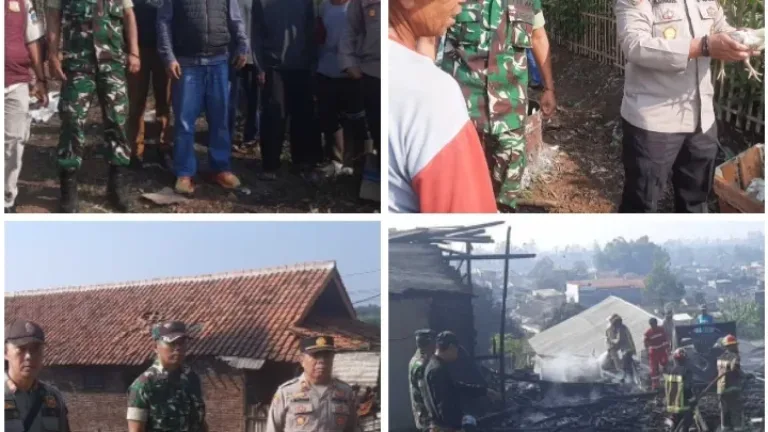 Korsleting Diduga Picu Kebakaran Kandang Ayam di Samarang, Kerugian Capai Jutaan