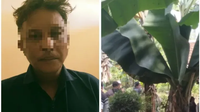 Bermodal Janji Menikah, Terduga Pelaku Sempat Merubuhkan Rumah Korban Sebelum Diamankan Polisi