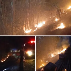 Kebakaran Kebun Bambu di Lewobaru Malangbong, Api Berhasil Dipadamkan