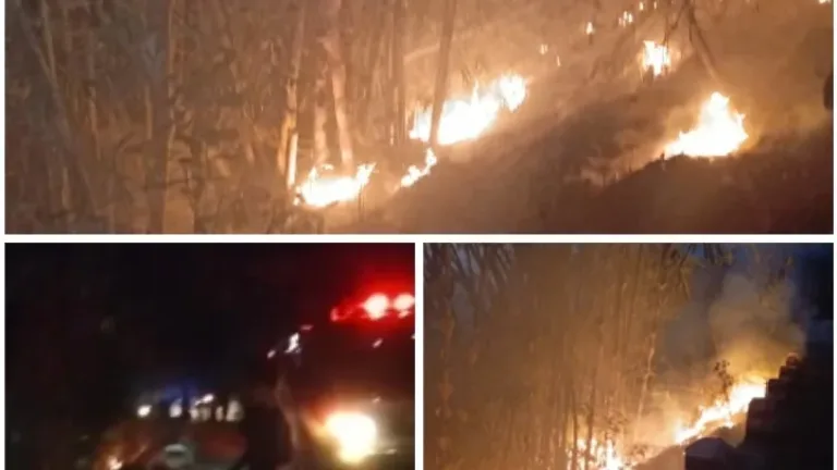 Kebakaran Kebun Bambu di Lewobaru Malangbong, Api Berhasil Dipadamkan