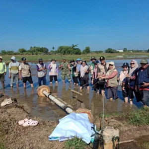 Dukung Ketahanan Pangan, Babinsa Koramil 1409-03/Bontomarannu Dampingi Penanaman Padi Serentak di Desa Sunggumanai