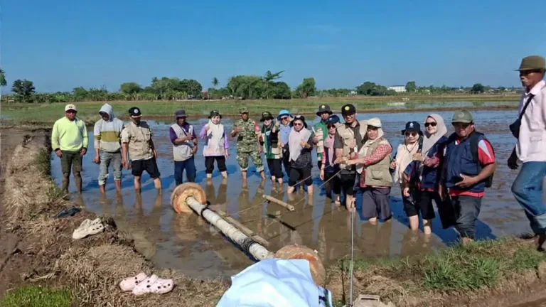 Dukung Ketahanan Pangan, Babinsa Koramil 1409-03/Bontomarannu Dampingi Penanaman Padi Serentak di Desa Sunggumanai