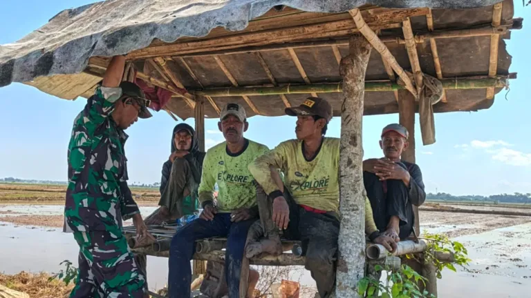 Kawal Ketahanan Pangan, Babinsa Koramil 1409-03/Bontomarannu Pantau Pengolahan Lahan dan Distribusi Air di Dusun Japing