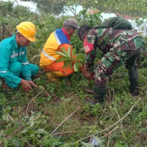 Koramil 1408-12/Tamalanrea Tanam Pohon, Hijaukan Lingkungan dan Cegah Banjir
