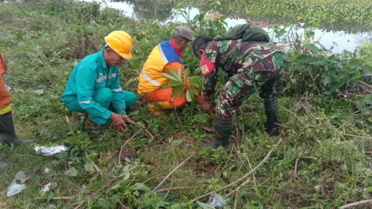 Koramil 1408-12/Tamalanrea Tanam Pohon, Hijaukan Lingkungan dan Cegah Banjir