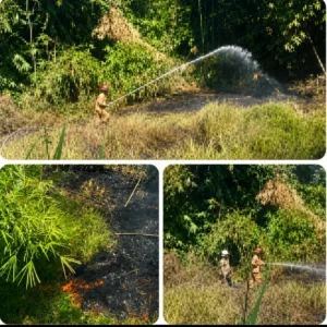 Respons Cepat Damkarmat Garut Padamkan Kebakaran Lahan di Rancabango Hills dalam 15 Menit