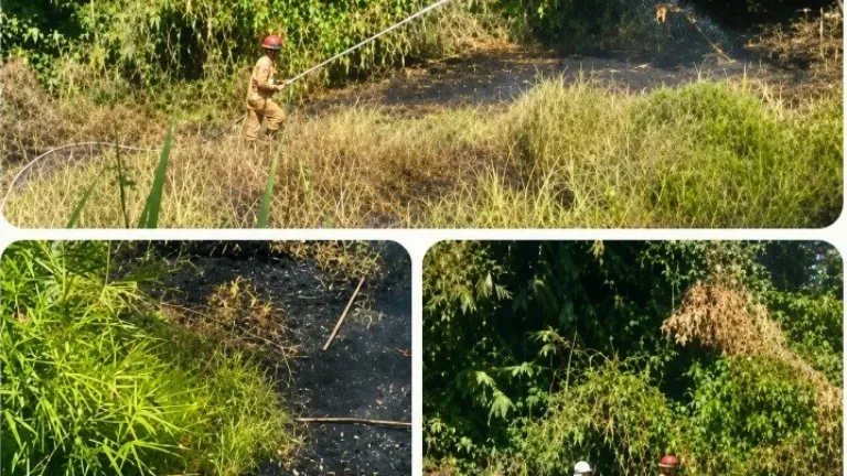 Respons Cepat Damkarmat Garut Padamkan Kebakaran Lahan di Rancabango Hills dalam 15 Menit