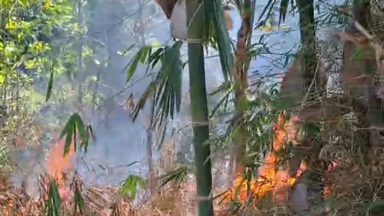 Damkarmat Garut Gerak Cepat Padamkan Kebakaran Lahan di Lewigoong, Warga Diimbau Waspada di Musim Kemarau