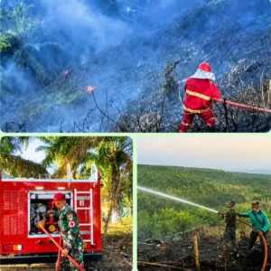 Kadis Damkarmat Garut H. Basuki Eko,Pastikan Kebakaran Lahan Sawit PT Condong Berhasil Dipadamkan di Bantu Denbekang TNI AD