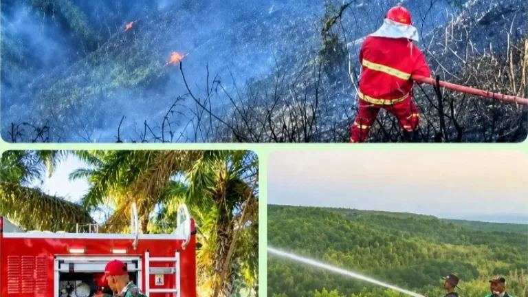 Kadis Damkarmat Garut H. Basuki Eko,Pastikan Kebakaran Lahan Sawit PT Condong Berhasil Dipadamkan di Bantu Denbekang TNI AD