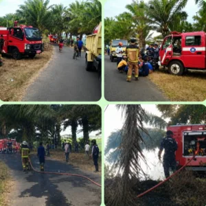 Mobil Pemadam Disdamkar Dan Yonif TF 890/GS AD Bersama Polri dan Warga Berhasil Kendalikan Kebakaran Lahan Sawit