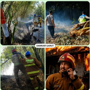Hingga 26 Juli 2026, Disdamkarmat Garut Tangani 227 Kejadian Kebakaran, Masyarakat Diimbau Tingkatkan Kewaspadaan