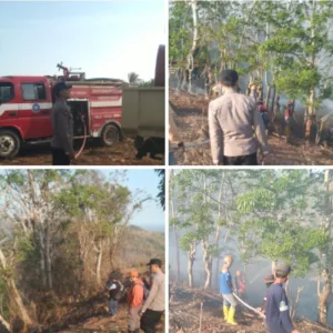 Kebakaran Lahan di Cikelet, Polisi-Warga-Damkar Turun Tangan