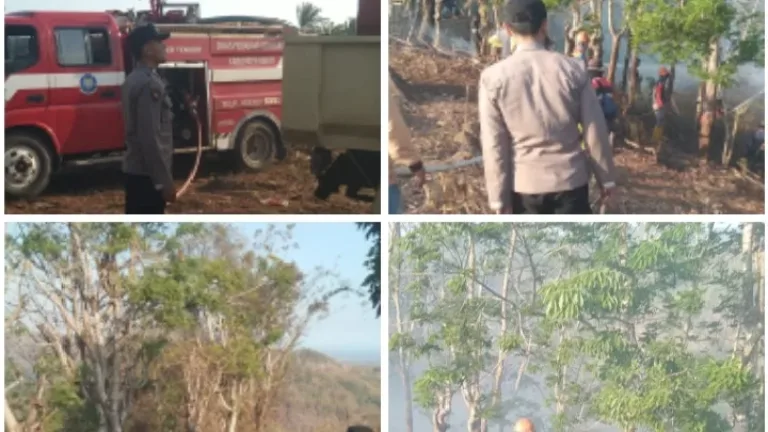 Kebakaran Lahan di Cikelet, Polisi-Warga-Damkar Turun Tangan