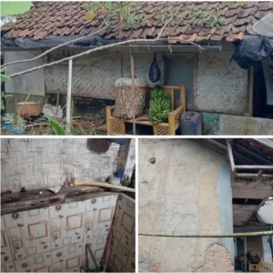 Rumah Warga Desa Cinta Asih Hampir Roboh, Pemilik Desak Pemerintah Kabupaten Garut Segera Bertindak