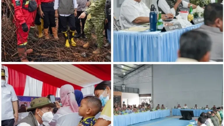 Karhutla Pelalawan, Menhut Raja Antoni Tegaskan Pendinginan Harus Tuntas