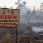 Prabowo Minta 3 Terduga Pembakar Lahan di Riau Dibawa ke Jakarta
