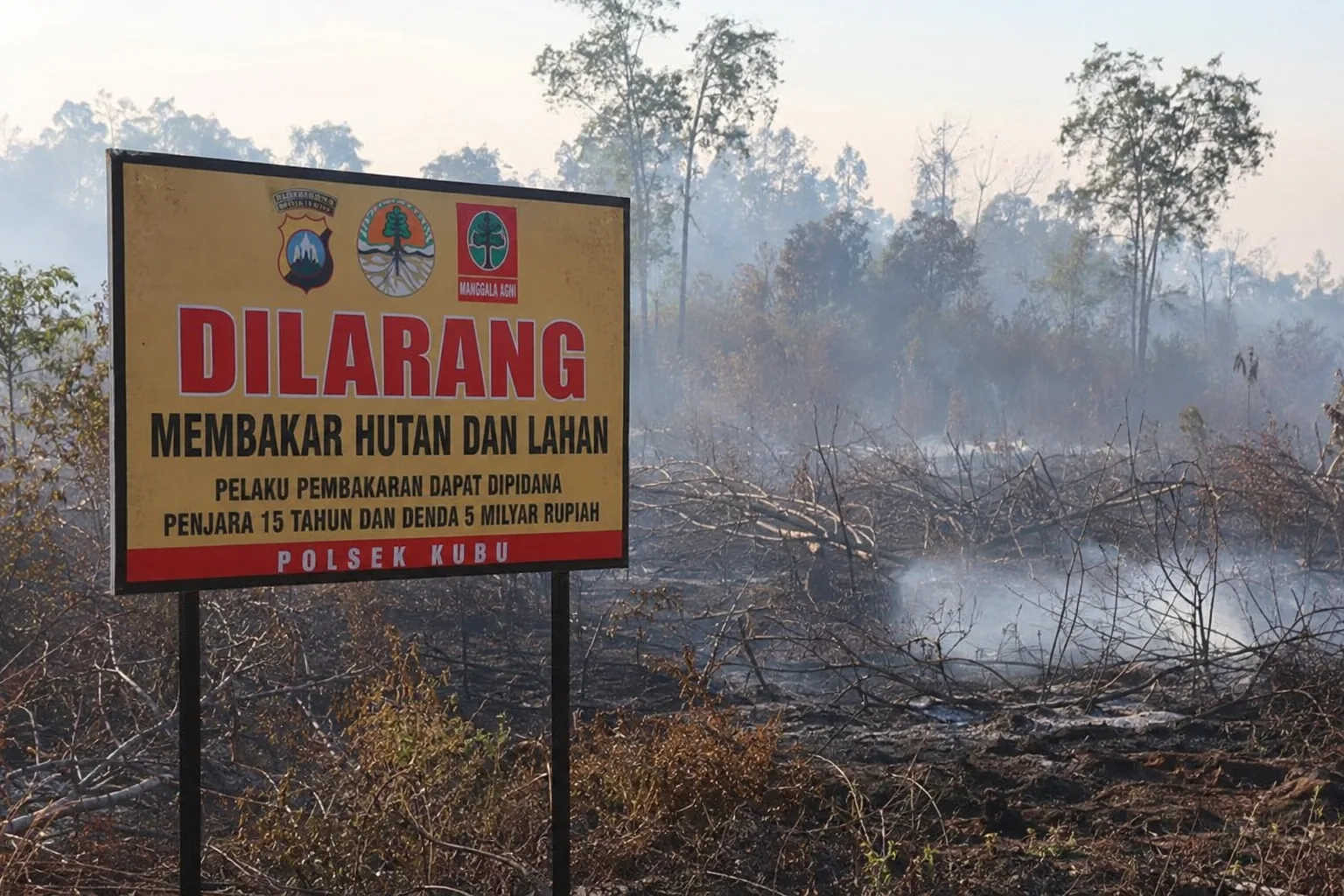 Prabowo Minta 3 Terduga Pembakar Lahan di Riau Dibawa ke Jakarta