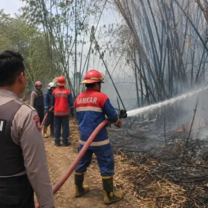Kebakaran di Lamongan Terjadi di Dua Lokasi dalam Sehari