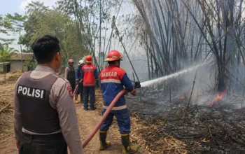 Kebakaran di Lamongan Terjadi di Dua Lokasi dalam Sehari