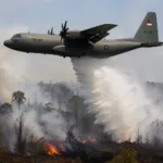 TNI AU Kerahkan 5 Pesawat Bantu Tangani Karhutla di Kalimantan