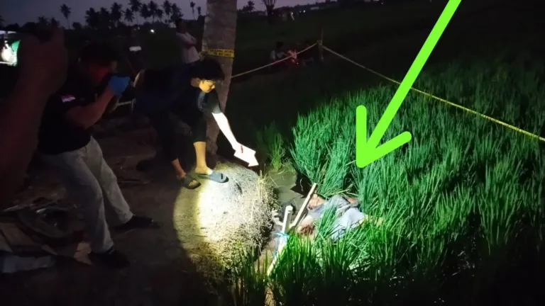 Warga Desa Kuajang Ditemukan Meninggal di Sawah, Polisi Selidiki Penyebabnya