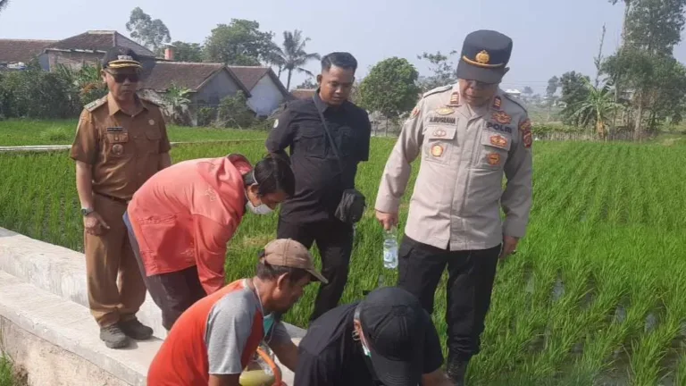 Polri Dukung Program Pengendalian Hama Tikus untuk Lindungi Produktivitas Pertanian