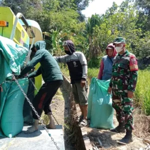 Kawal Ketahanan Pangan Daerah, Babinsa Koramil 1409-08/Bontonompo Dampingi Petani Gowa Saat Panen