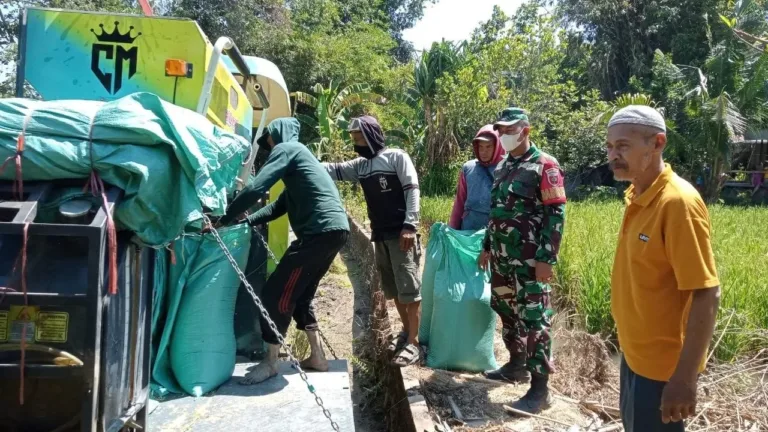 Kawal Ketahanan Pangan Daerah, Babinsa Koramil 1409-08/Bontonompo Dampingi Petani Gowa Saat Panen