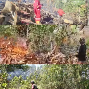 Bahu-Membahu, TNI, Damkar, dan Masyarakat Berhasil Mengendalikan Api di Moncongloe