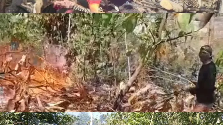 Sinergi Tanpa Batas, Babinsa Kodim 1409/Gowa Bersama Tim Gabungan Sukses Padamkan Karhutla di Parangloe dan Pallangga