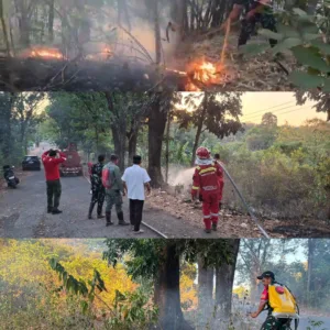 Sinergi Manggala Agni dan TNI Padamkan Api di Parangloe Gowa