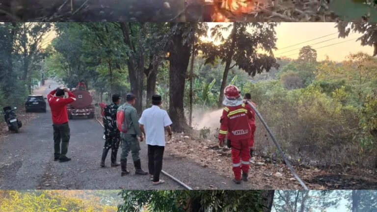Sinergi Manggala Agni dan TNI Padamkan Api di Parangloe Gowa