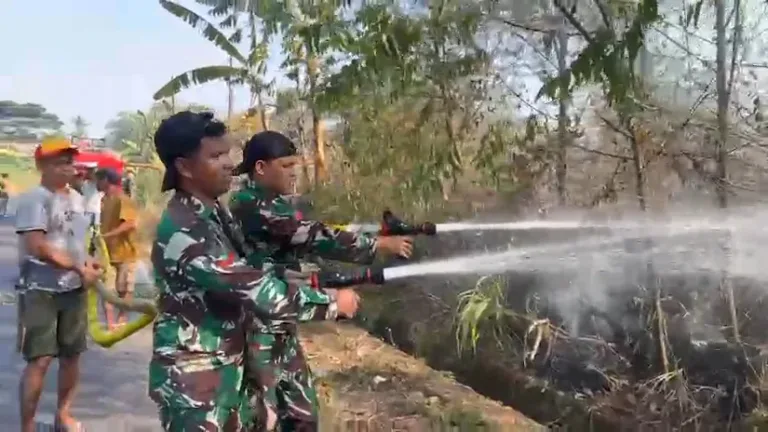 Aksi Cepat Kodim 1409/Gowa dan Yon Zipur 8/SMG Berhasil Padamkan Karhutla di Pattallassang