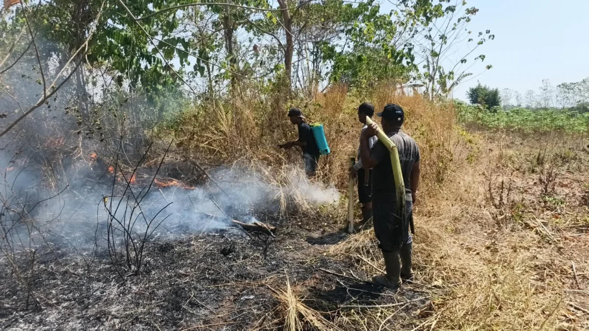 Aksi Cepat Babinsa dan Warga Padamkan Kebakaran Lahan 50 Are di Paccelekang Gowa