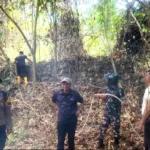 Aksi Tanggap Kodim 1409/Gowa dan Tim Gabungan Jinakkan Api di Area Lapangan Golf